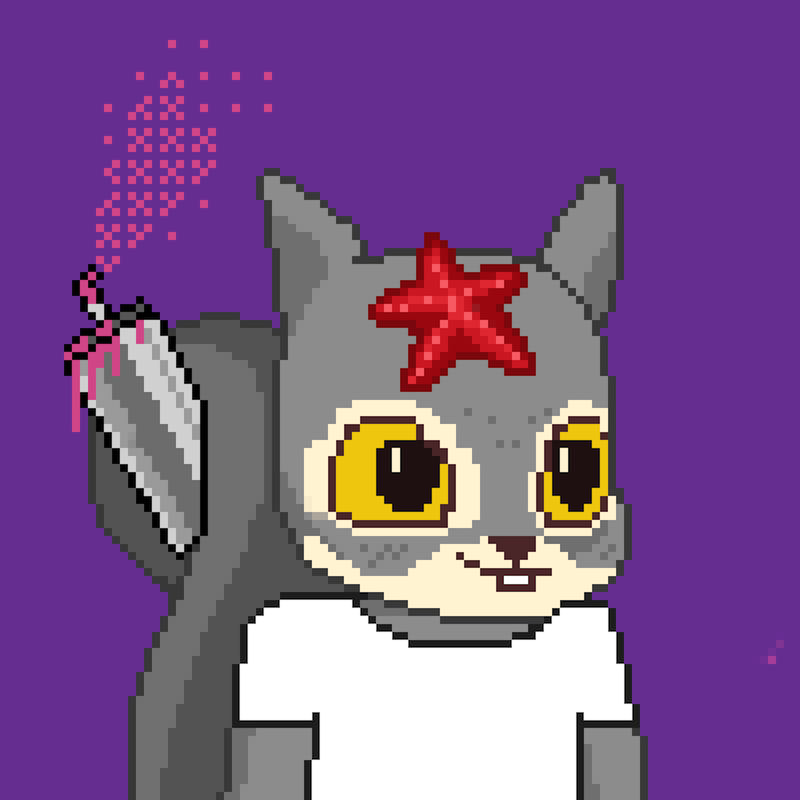 Pixel Squirrels #9855